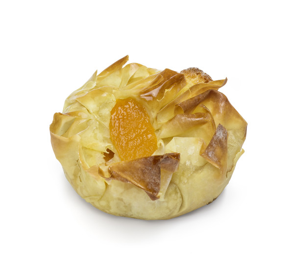 Tourtiere de Gascogne Kl. Aprikosen